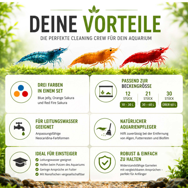 Garnelenstarter Mix - Color Crew für Leitungswasser Vorteile