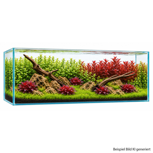 Aquascape Pflanzenset Rot-Grün sehr groß Frontansicht