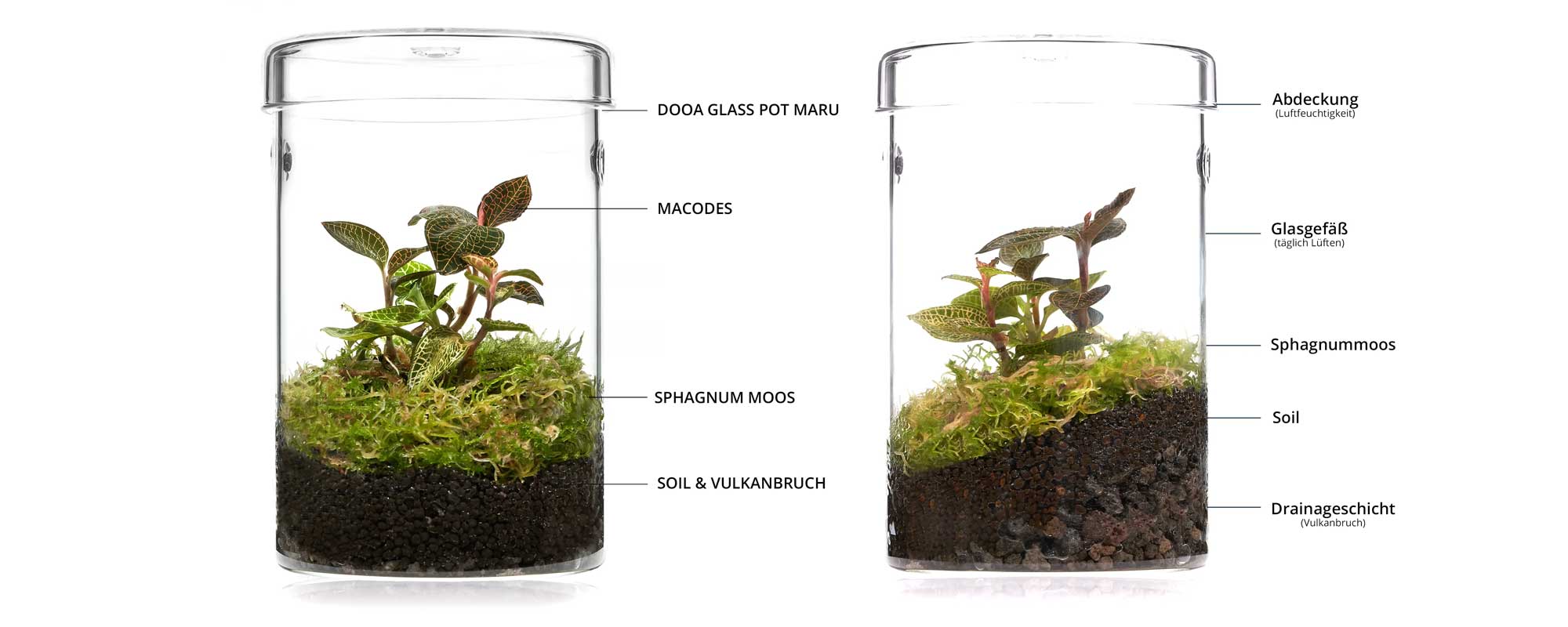 Aufbau Bodengrund Flaschengarten
