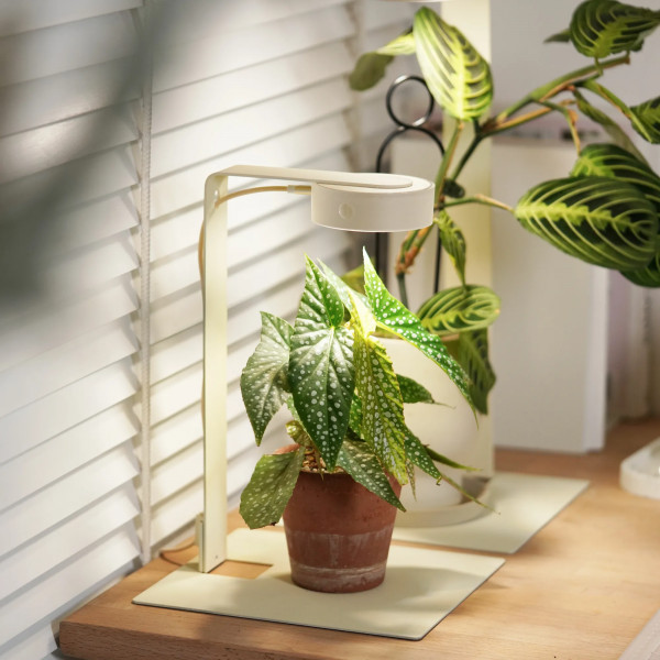 ONF MIST O Stand Kit Beige