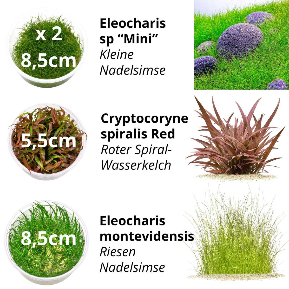 AQUANEAT Doppel-Schwammfilter Für Nano-Aquarien Bis 20 Gallonen – Biofiltration & Sauerstoff