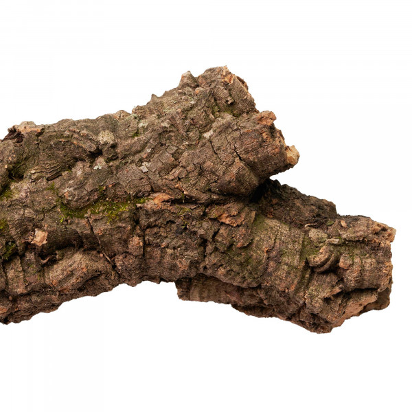 Korkröhren für Terrarium | Natürliche Verstecke und Klettermöglichkeiten Makro