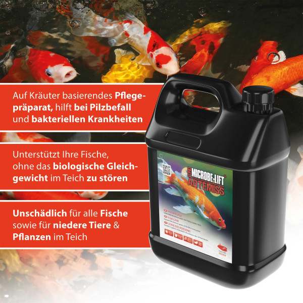 ARKA TEICH Artemiss | Fischpflege auf Kräuterbasis