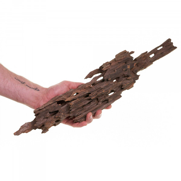 Dragon Wood | Drachenholz XL 30-50cm