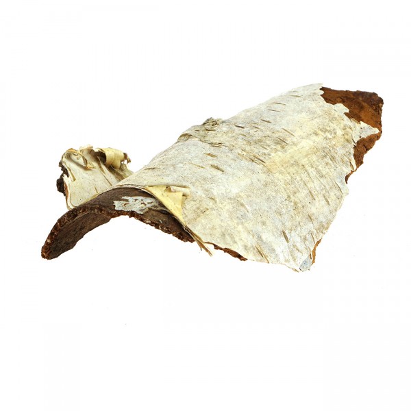 Birkenrinde getrocknet