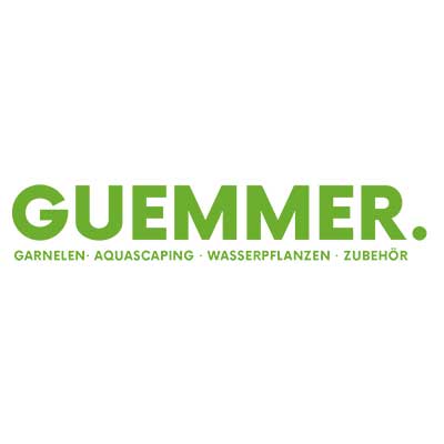 Garnelen-Guemmer