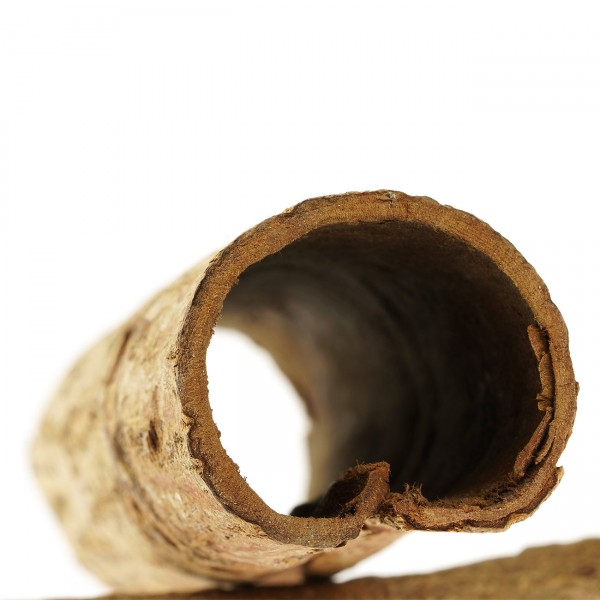 Seemandelbaum Röhre