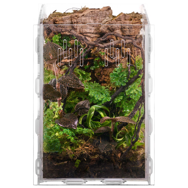 Naturkorkstücke | Korkstücke für Terrarium 5 - 20cm