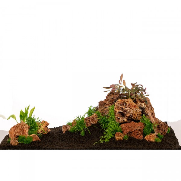 Versteinertes Laub Set