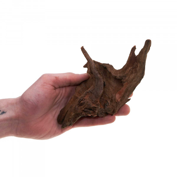 Flusswurzel | Driftwood | Einzelstück
