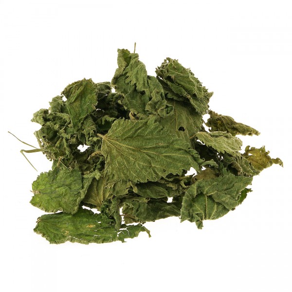 Brennesselblätter getrocknet grün