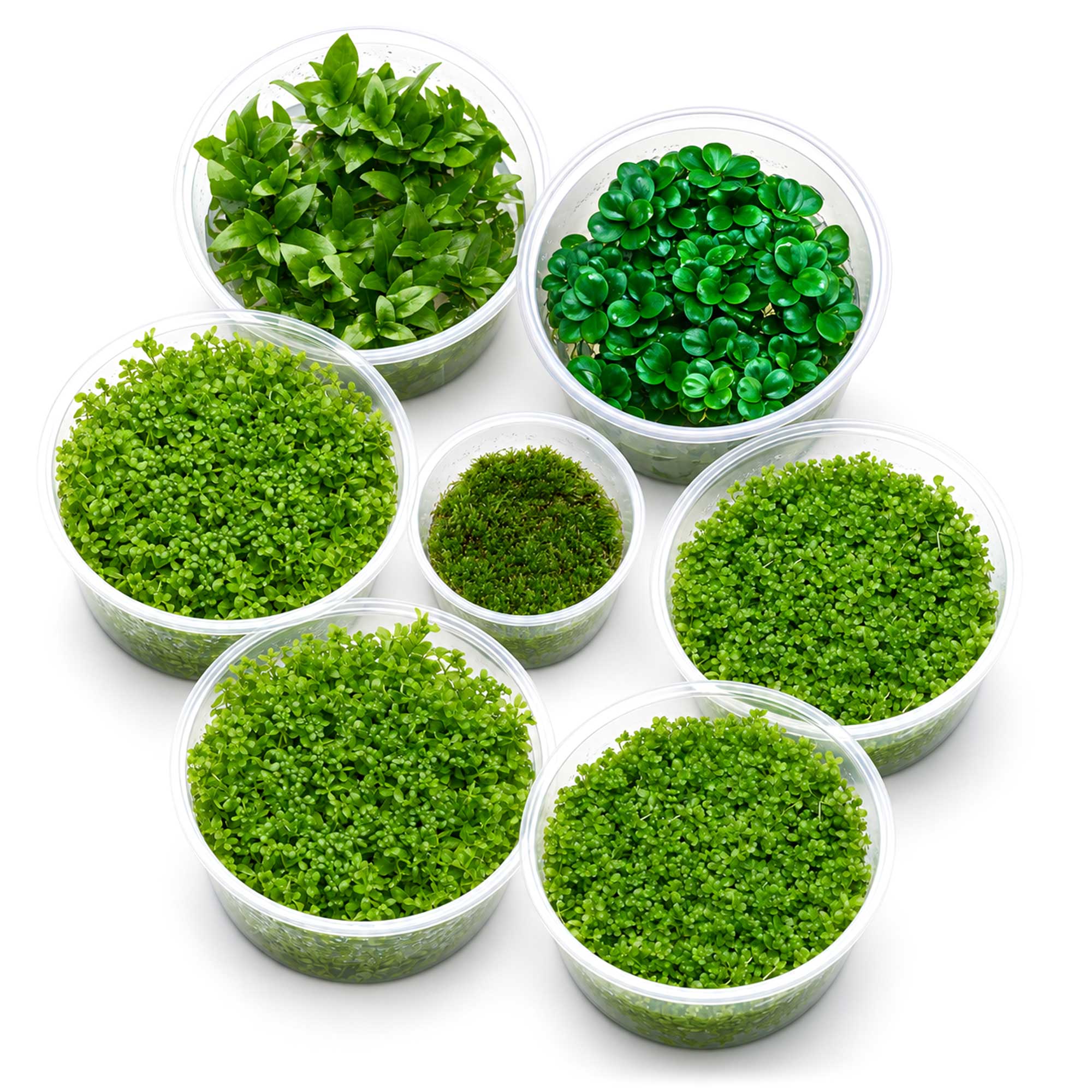 Lieferumfang des The Green Nano Cube Sets für 50 bis 100 Liter