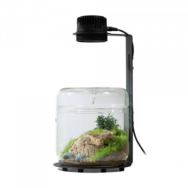 Bioloark Luji Glass Cup Set inkl. LED