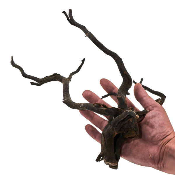 Black Wood Wurzel | Set M Einzelstück größe