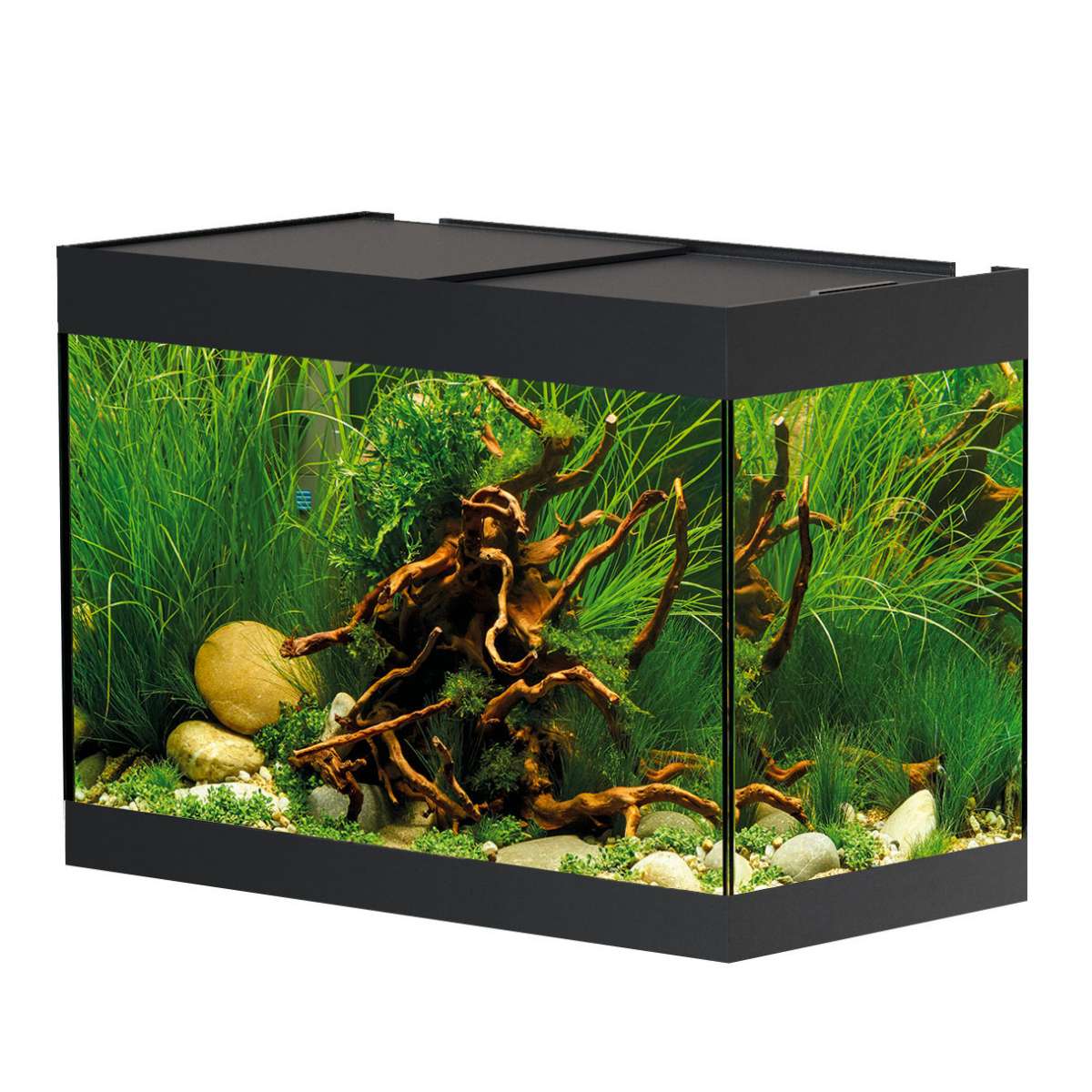 Oase StyleLine 125 Aquarium GarnelenGuemmer