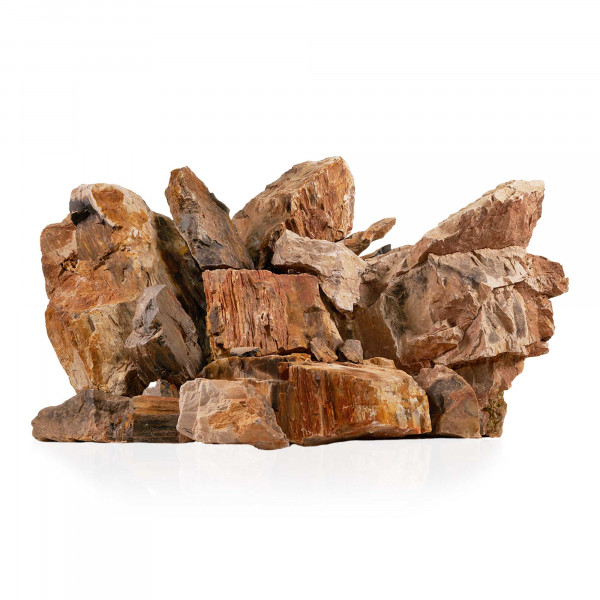 Versteinertes Holz Hardscape Aquascaping Aquaristik