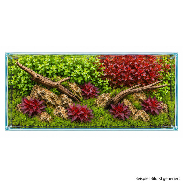 Aquascape Pflanzenset Rot-Grün groß Ansicht oben
