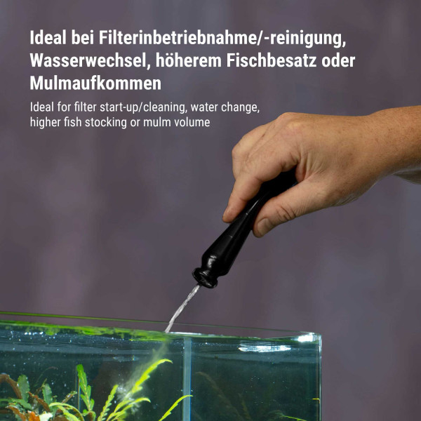 Dennerle Bacto Elixier Bio | Filterbakterien - 50 ml