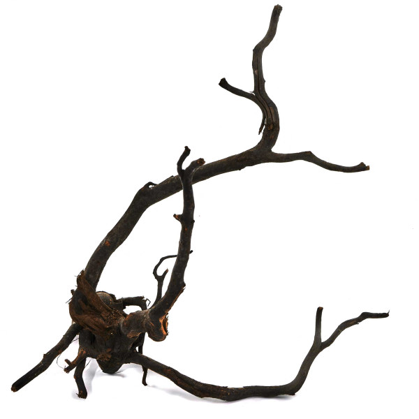 Black Wood Wurzel | Set M Einzelstück