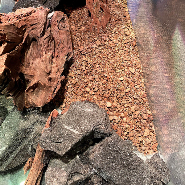 Better Ground Nährboden als unterste Schicht des Bodengrundaufbaus