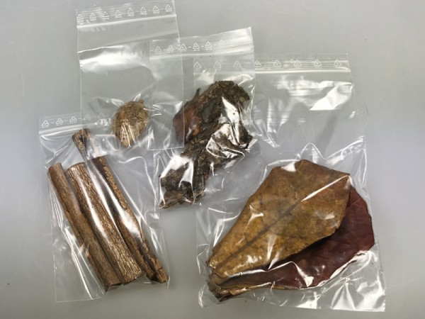 Seemandelbaum-Set | Wasserpflegemittel & Versteck