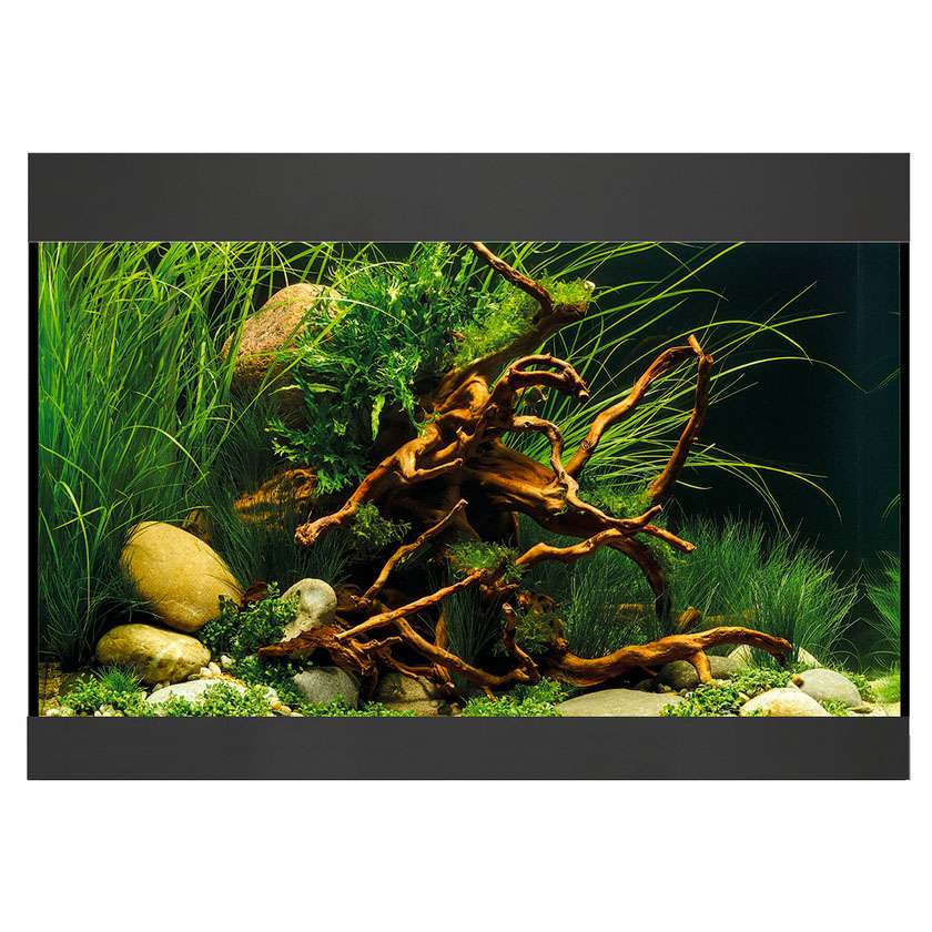 Oase StyleLine 125 | Aquarium | Garnelen-Guemmer
