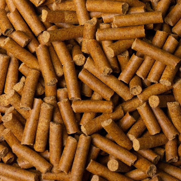 Dennerle | Shrimp King Color