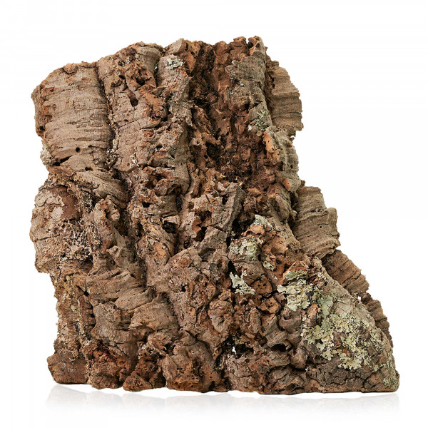 Korkplatten für Terrarium | 30-50cm