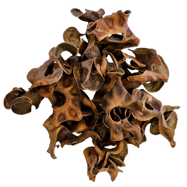 Hobby Jungle Star Flowers 25 Stk. Makro