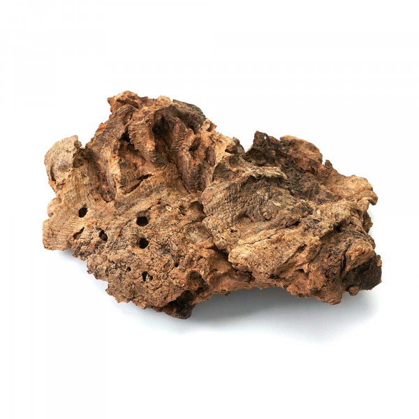 Naturkorkstücke | Korkstücke für Terrarium, Paludarium & Wabi-Kusa - 5 - 20cm