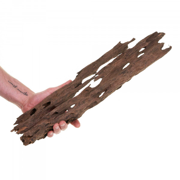 Dragonwood | Drachenholz | Ohkowood Set