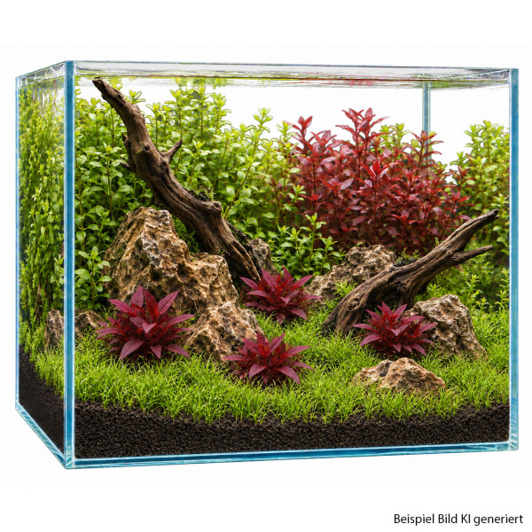 Aquascape Pflanzenset Rot-Grün klein Ansicht front