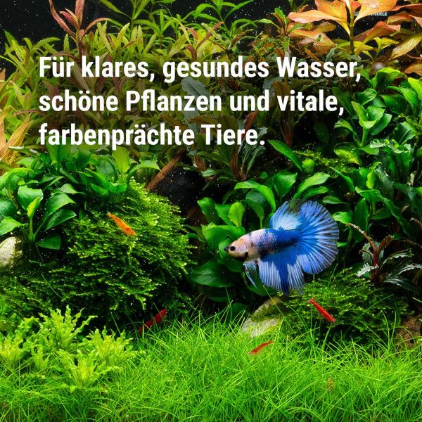 Dennerle | Care & Protect USP