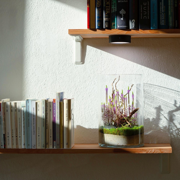 ONF Misto Actionbild