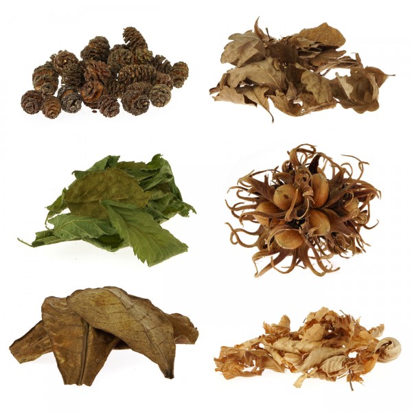 Nano Set Naturprodukte