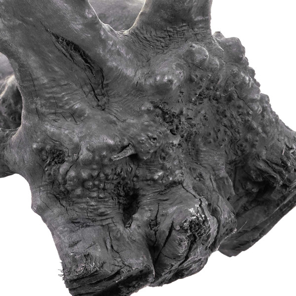 Schwarze Moorwurzel Fingerwurzel | Set Details