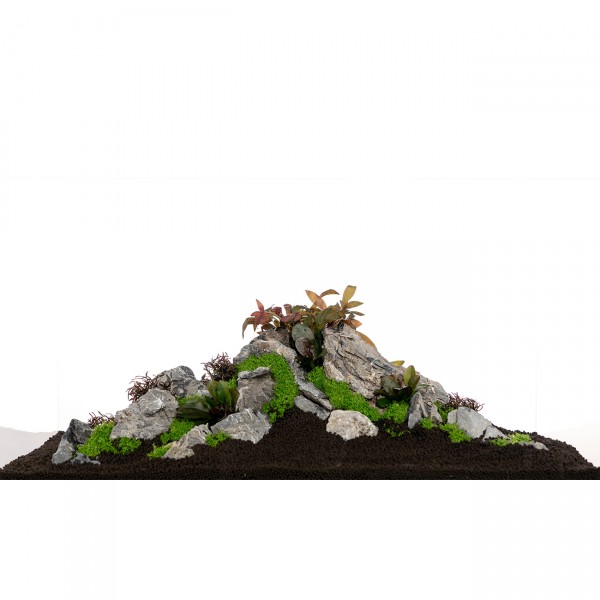 Mini Landschaft, Seiryu-Stein | Set