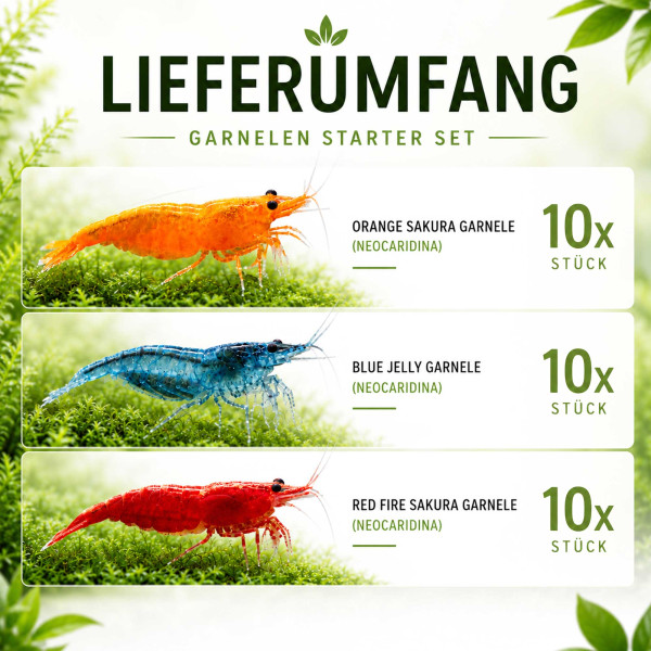 Garnelenstarter Mix - Color Crew für Leitungswasser Lieferumfang über 60 Liter