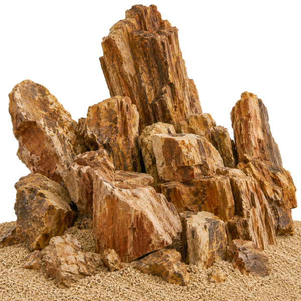Versteinertes Holz im Aquarium Aquascaping