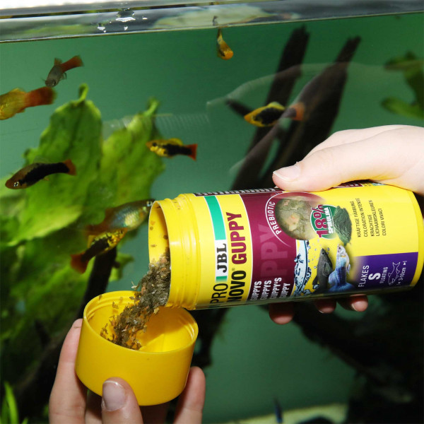 JBL ProNovo Guppy Flakes | Guppyfutter