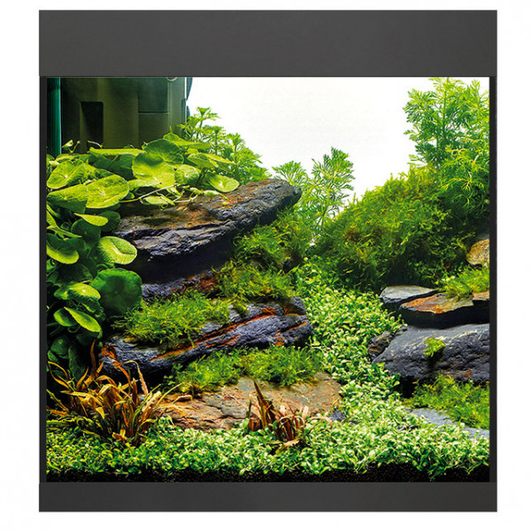 Oase StyleLine 85 Aquarium Komplettset