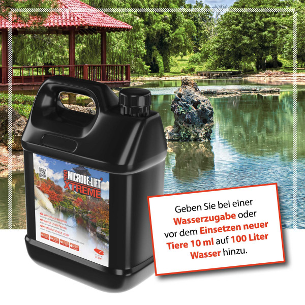 ARKA TEICH Xtreme | Wasseraufbereiter & Schwermetallentferner