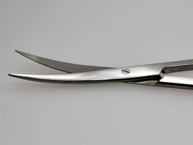 Edelstahl Aquarium Schere Gebogen - 25 Cm Pflanzenschere Für Aquascaping