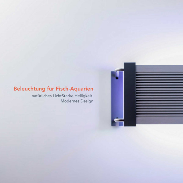 TWINSTAR LIGHT B-Serie II