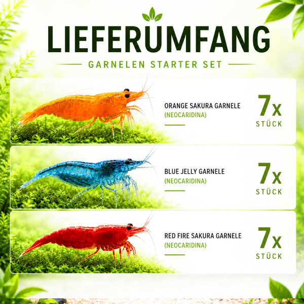 Garnelenstarter Mix - Color Crew für Leitungswasser Lieferumfang 30-60 Liter