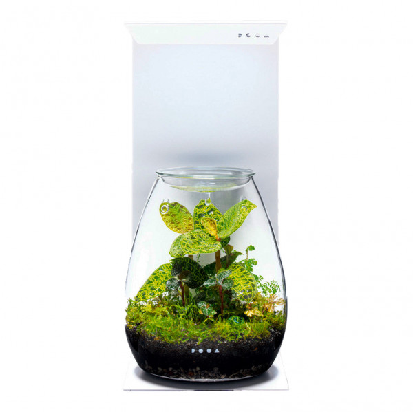 DOOA Magnet Light Stand 15H mit DOOA Shizuku Pot