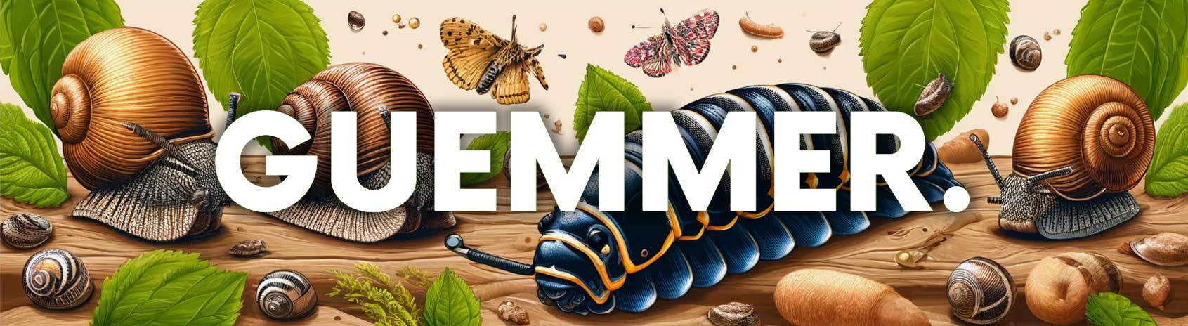 Garnelen-Guemmer Schnecken und Asseln