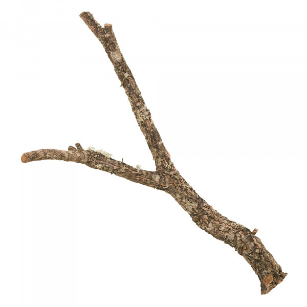 Naturkorkäste für Terrarium| Kork-Tronchos - ca. 60cm Einzeln